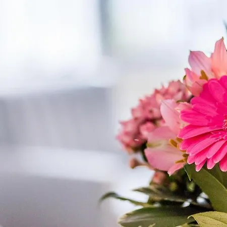 Apartment Dünenblick 01 Ahrenshoop