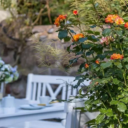 Apartment Dünenblick 01