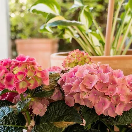 Duenenblick 01 Ahrenshoop