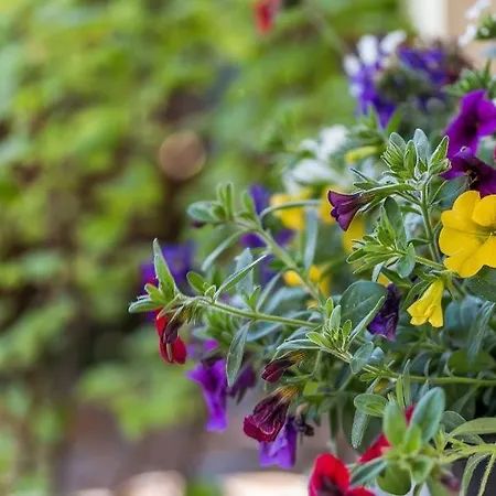 Duenenblick 01 Lägenhet *